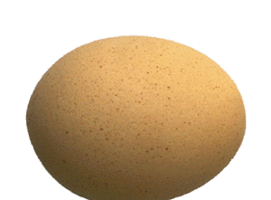 Gif animé joyeuses Pâques oeuf lapin